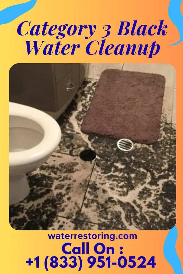 Category 3 Black Water Cleanup in Hoboken, NJ