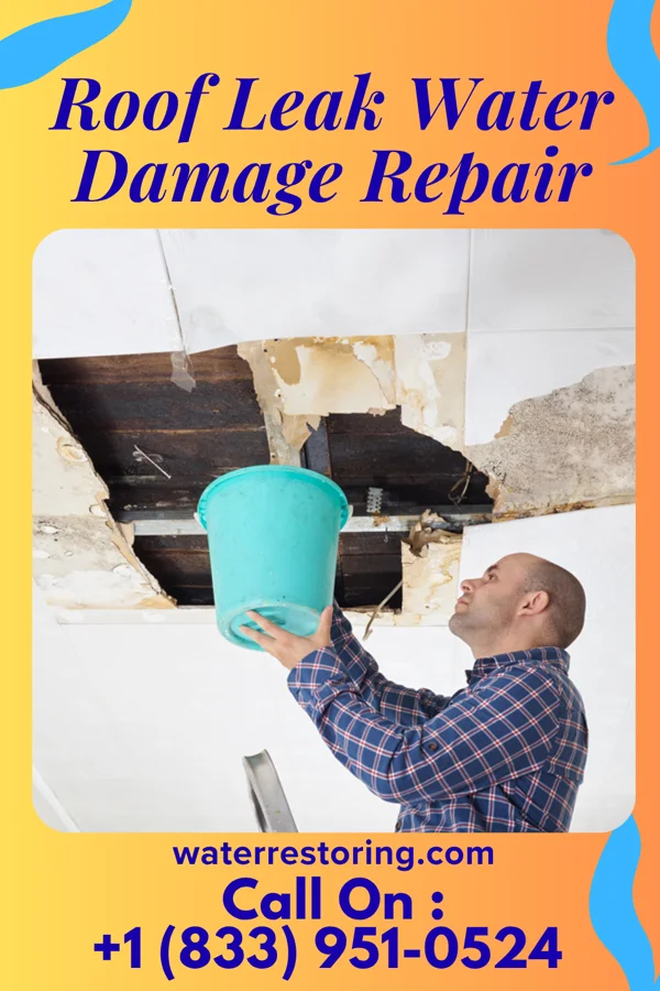 Roof Leak Water Damage Repair in Hoboken, NJ