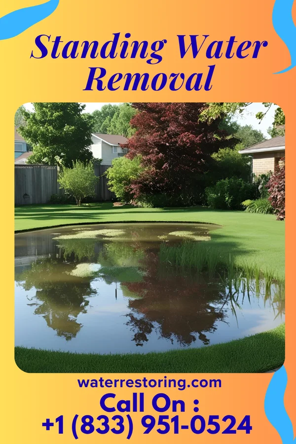 Standing Water Removal in Hoboken, NJ